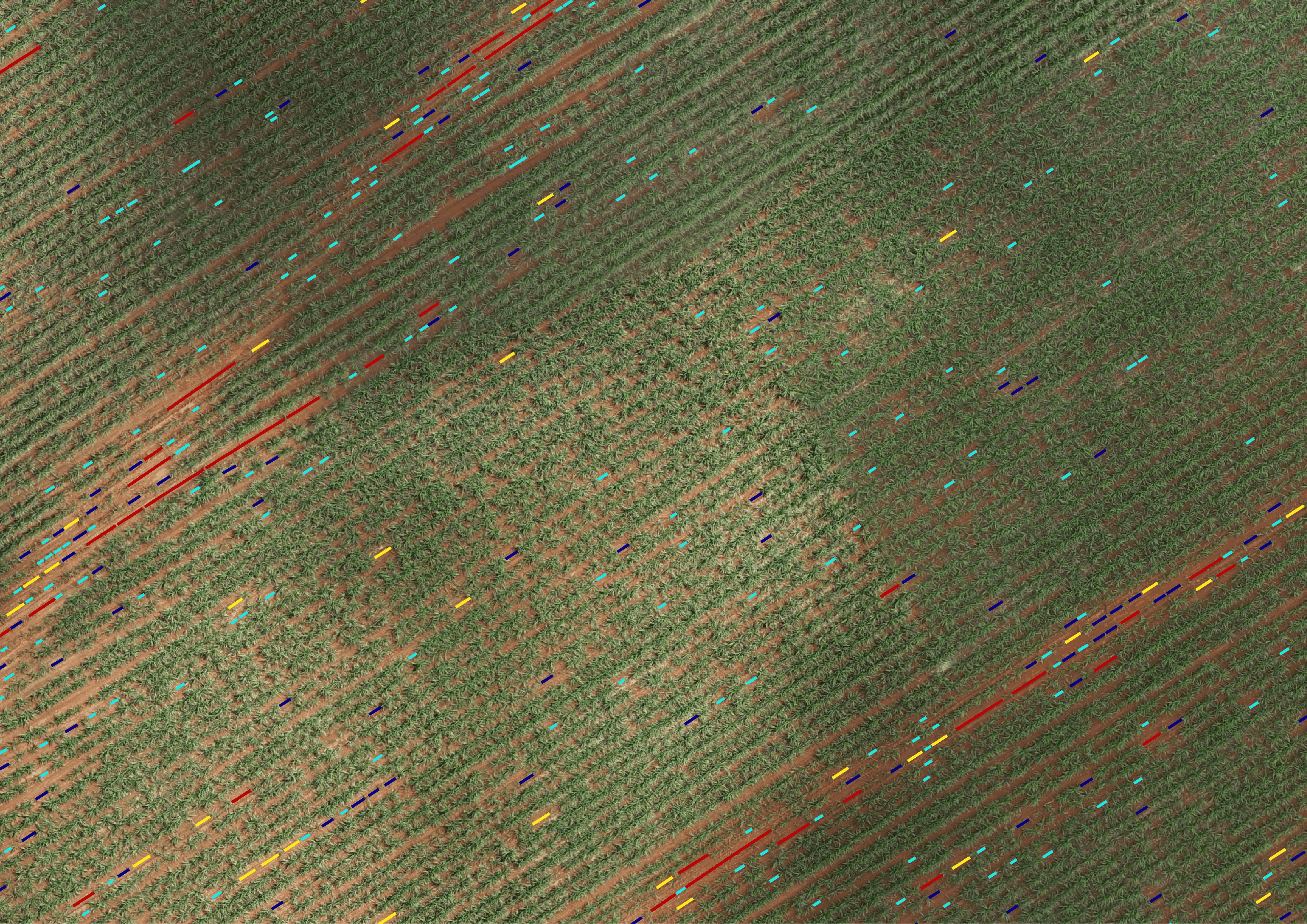 Detecção de Falhas de Plantio