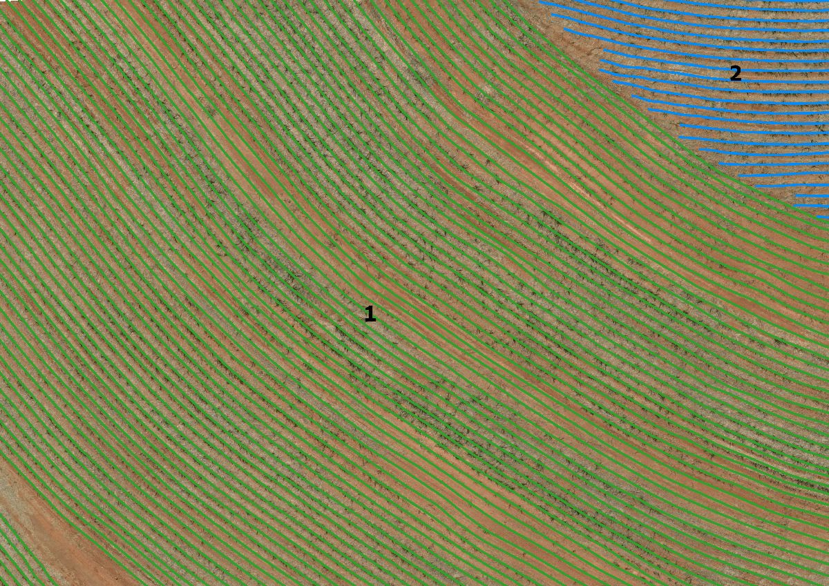 Linhas de restituição vetorizadas em área de matação